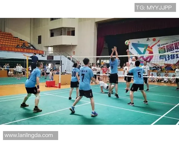 深圳排球队的拼搏之路：一段关于团结与梦想的排球纪实