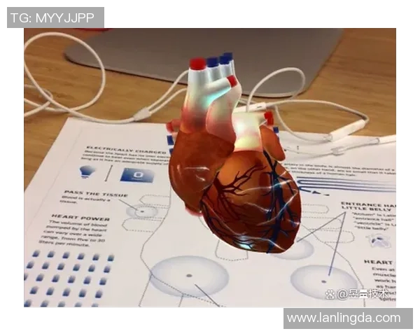西安乒乓球队快攻革新之路：技术突破与战术创新的深度解析